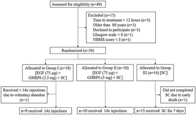 Combination therapy of Epidermal Growth Factor and Growth Hormone-Releasing Hexapeptide in acute ischemic stroke: a phase I/II non-blinded, randomized clinical trial